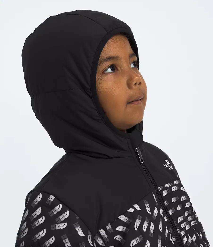 The North Face TNF Kids’ Boys’ Reversible Shasta Full-Zip Hooded Jacket 2025